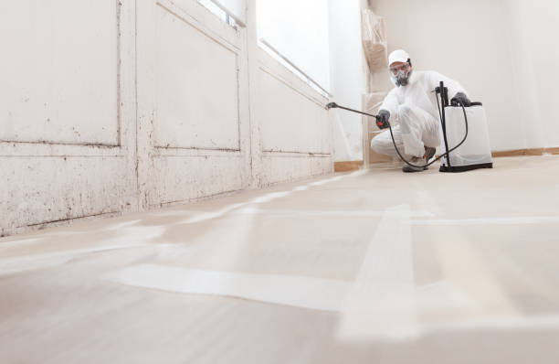 24/7 Emergency Black Mold Removal experts in Gaithersburg, MD