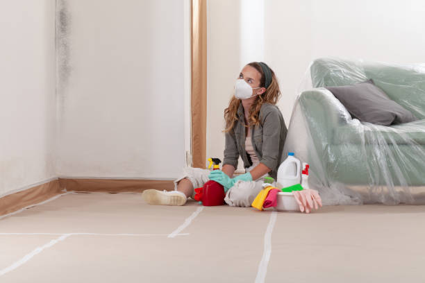 Reliable Black Mold Removal contractor in Gaithersburg, MD by WQB Mold Removal